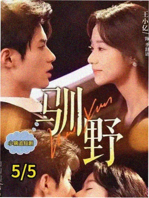 天行影院免费电视剧 城南旧梦